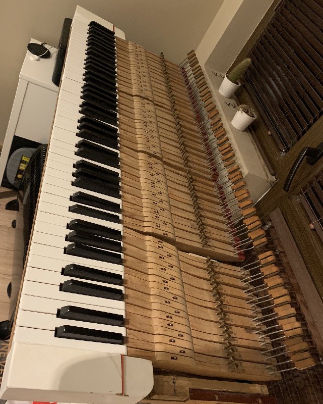 5ECFDC32-66D5-499C-90A5-9AC591779304