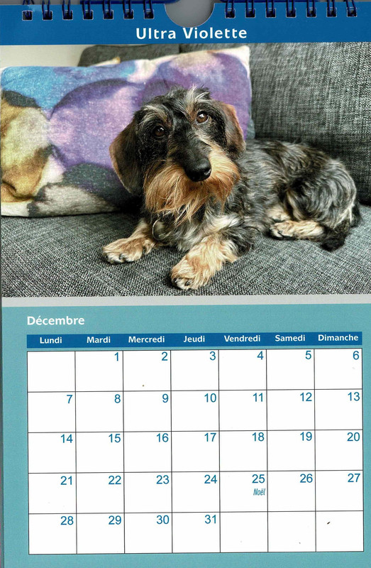 [Image: Num-risation-20250826-7.jpg]