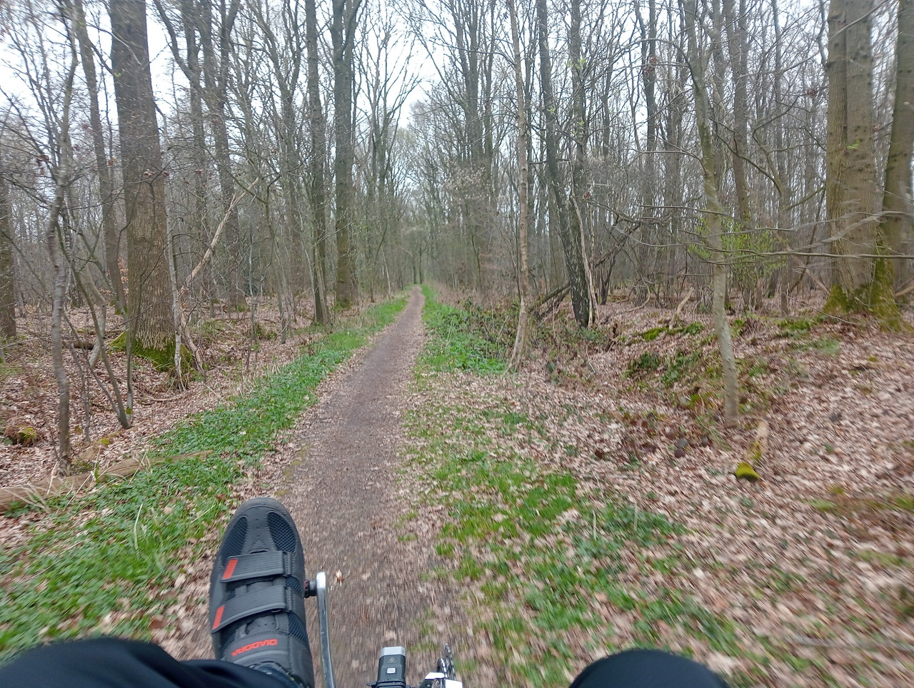 [Afbeelding: IMG20260403105343.jpg]