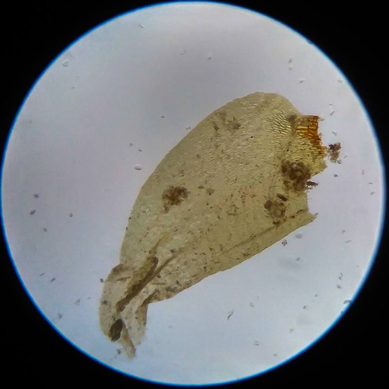 IMG 20250617 104935 HDR