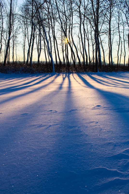 613127196-1996687331276766-1408412782279