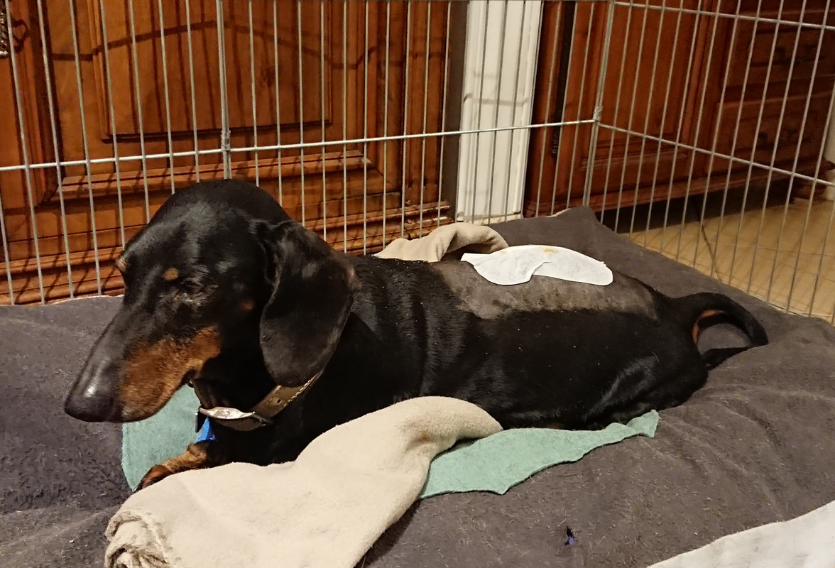 [Image: 20220322-213249.jpg]