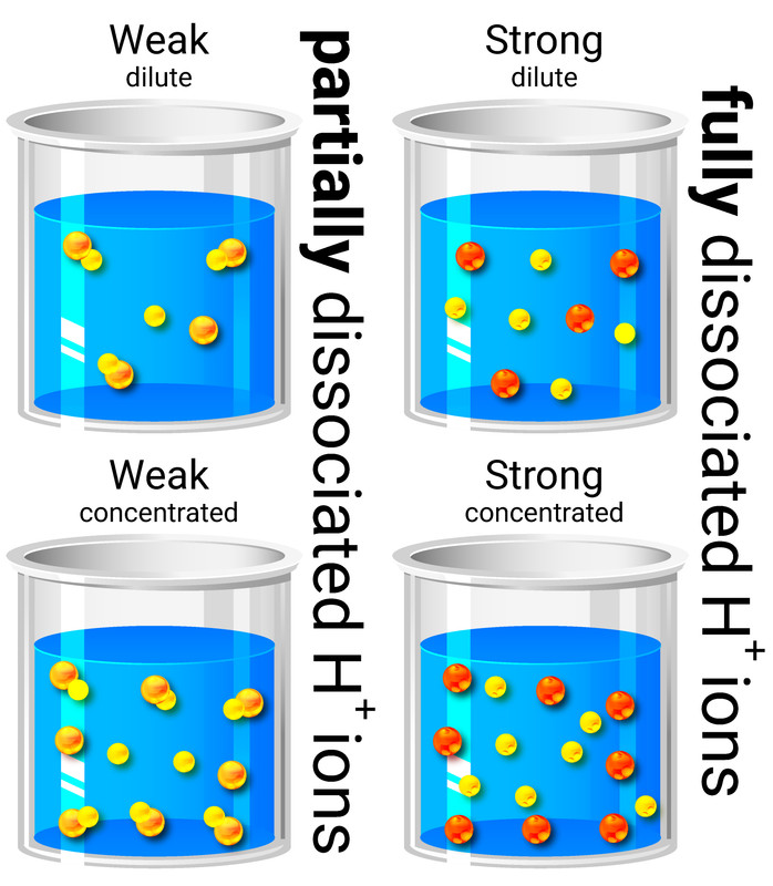 Dilute/Concentrated vs Weak/Strong Acids