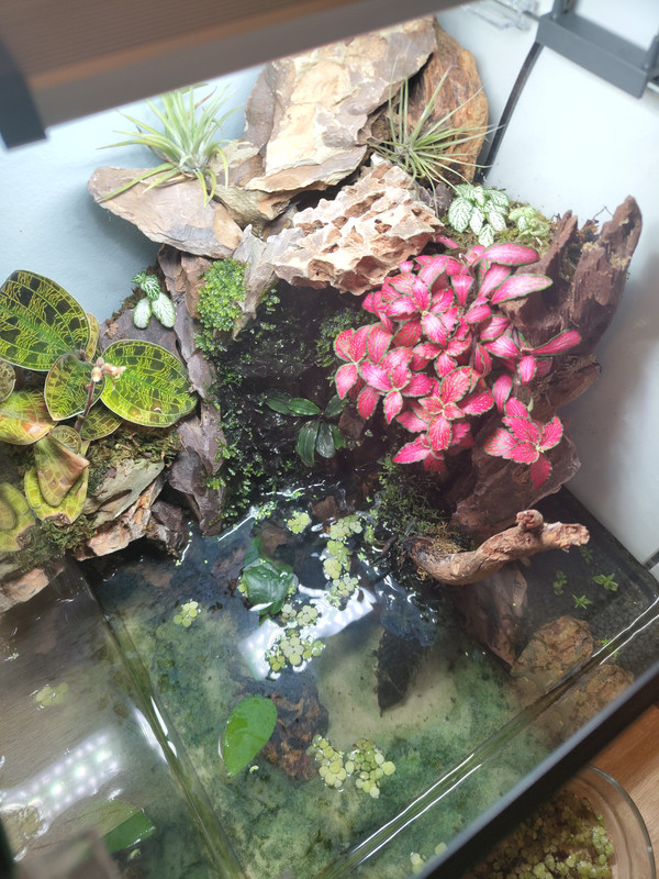 IMG_20240918_191908162