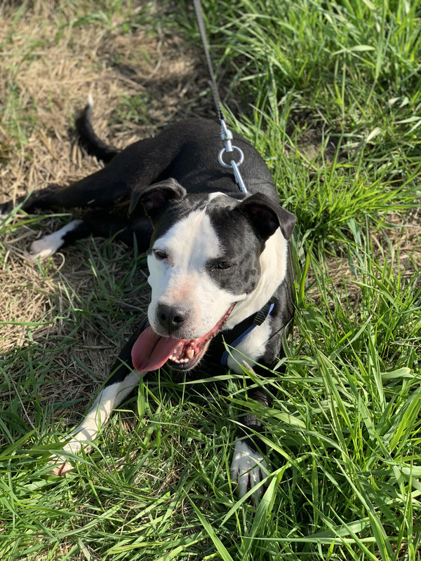 BE58053F-BC27-44AB-852D-AC4A54DA1556