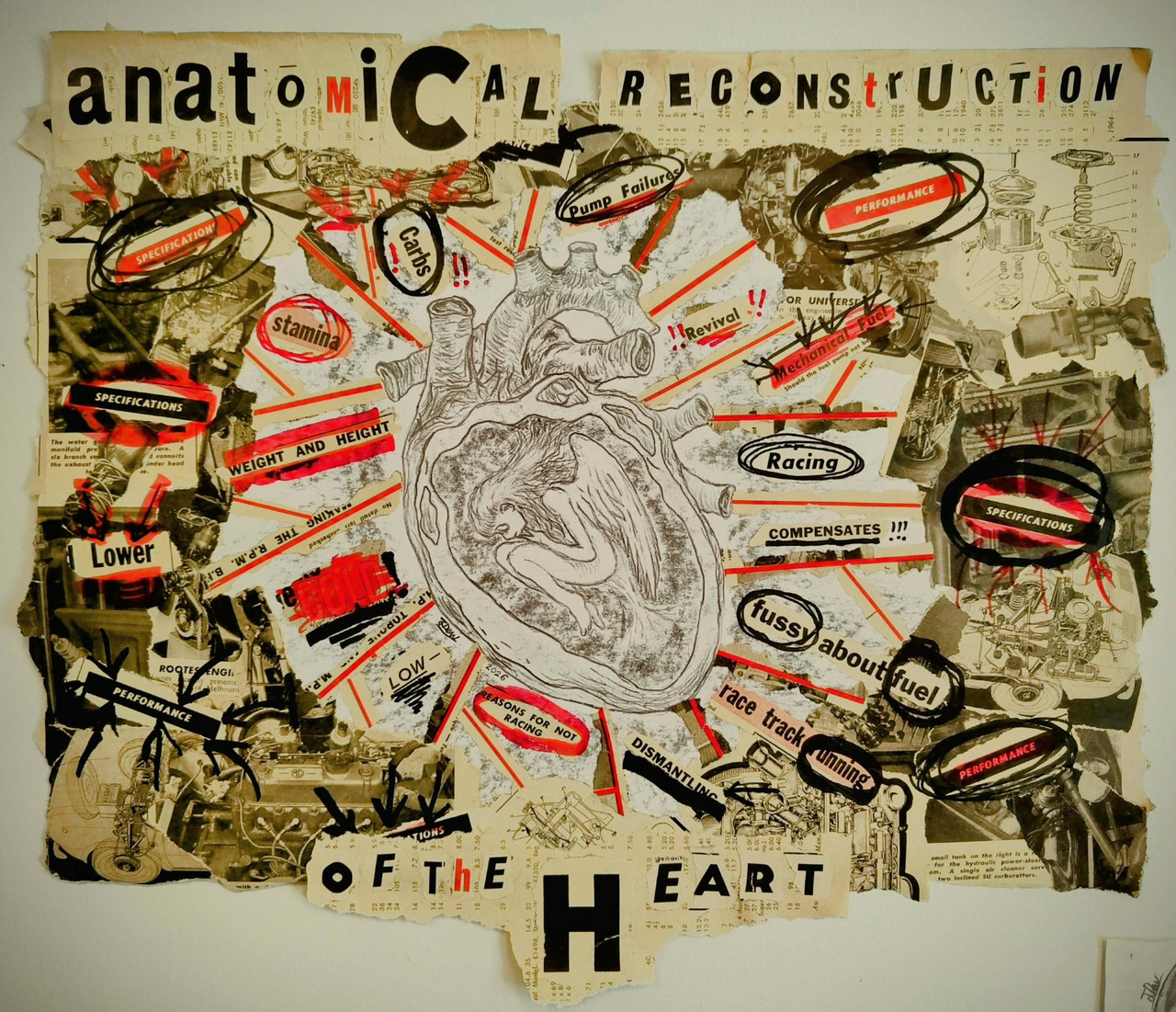 (59) anatomical reconstruction of the he(art)