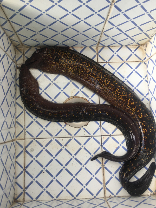 59E80F4C-2117-4050-9B8C-62990D6480FA