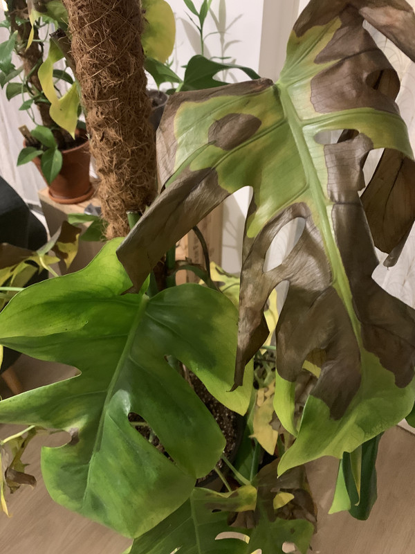 0855C28C-06F2-45E8-9242-68B476032E12