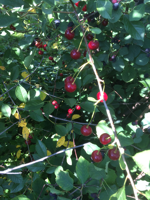 2983BD83-B7B3-442E-A9DA-A9B47180A90C