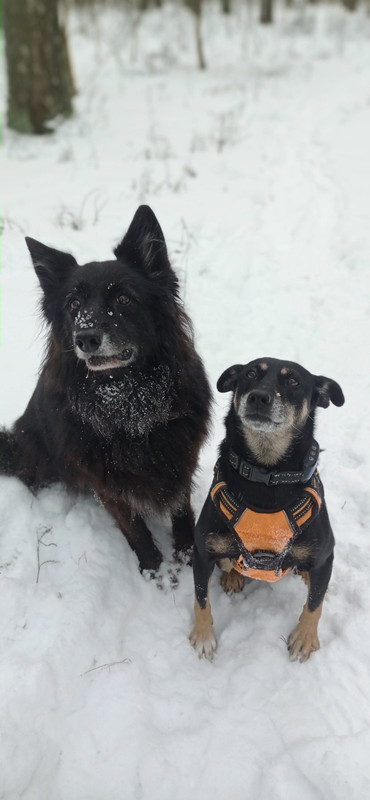 IMG c01a8f9f927a6bb37be132ef8e5833bf V