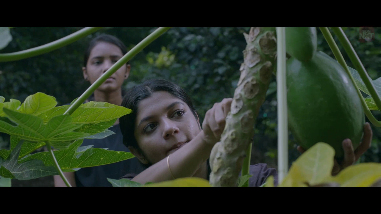 vlcsnap 2026 02 11 15h43m32s301