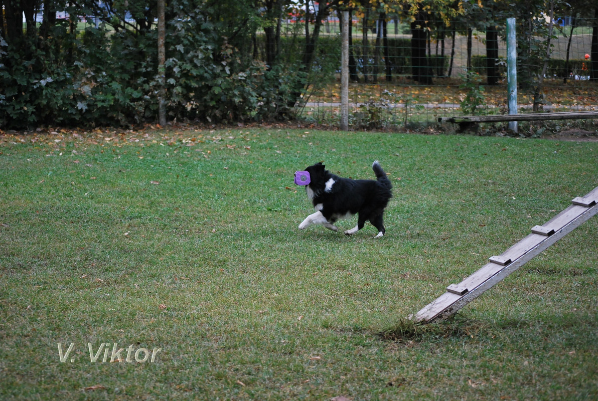 соревнование 1