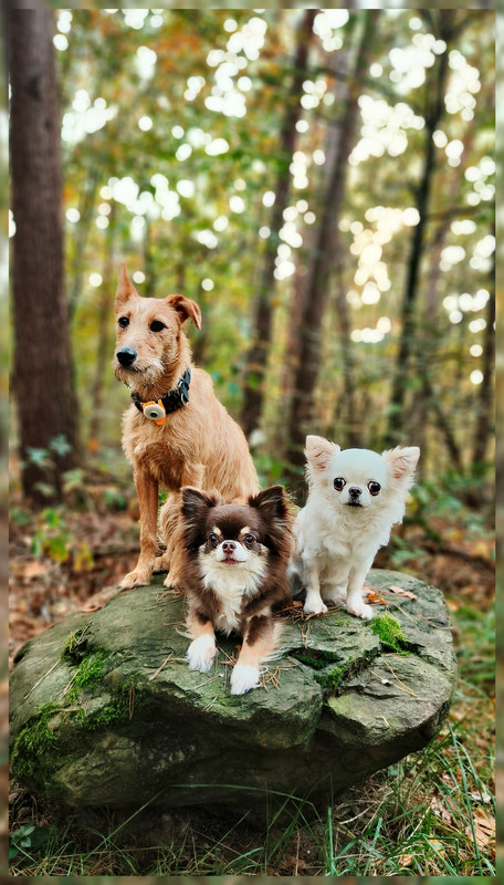 Lumii_20251019_154014389