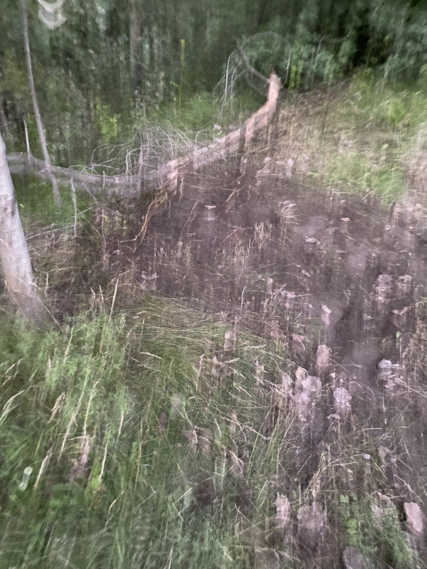 IMG 0288
