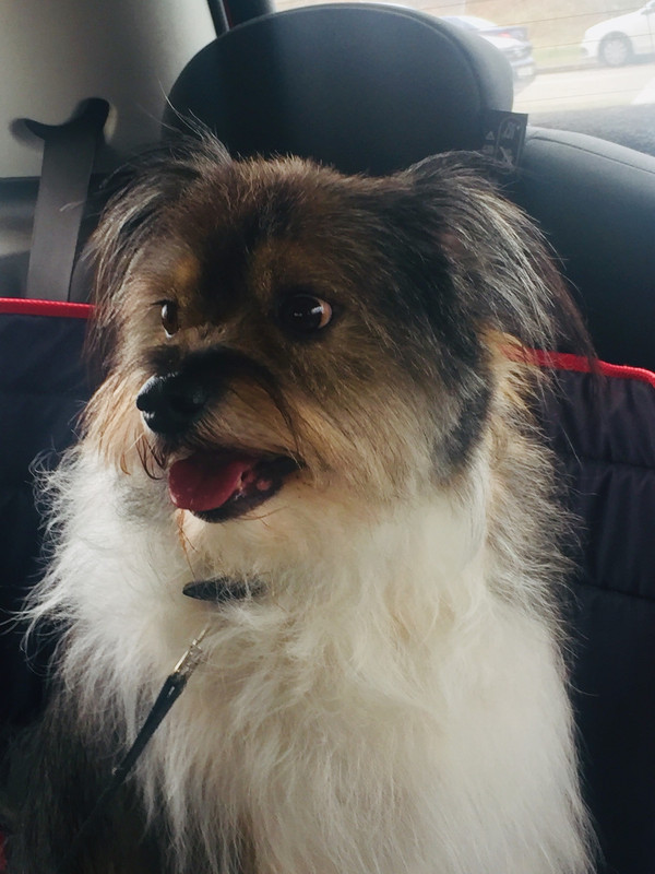 A38FB7C0-908B-4A35-8FBD-E25645AD3D58