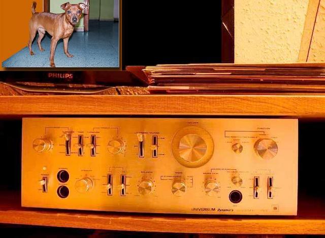 Audio vintage VS audio high end - Página 3 Amplif