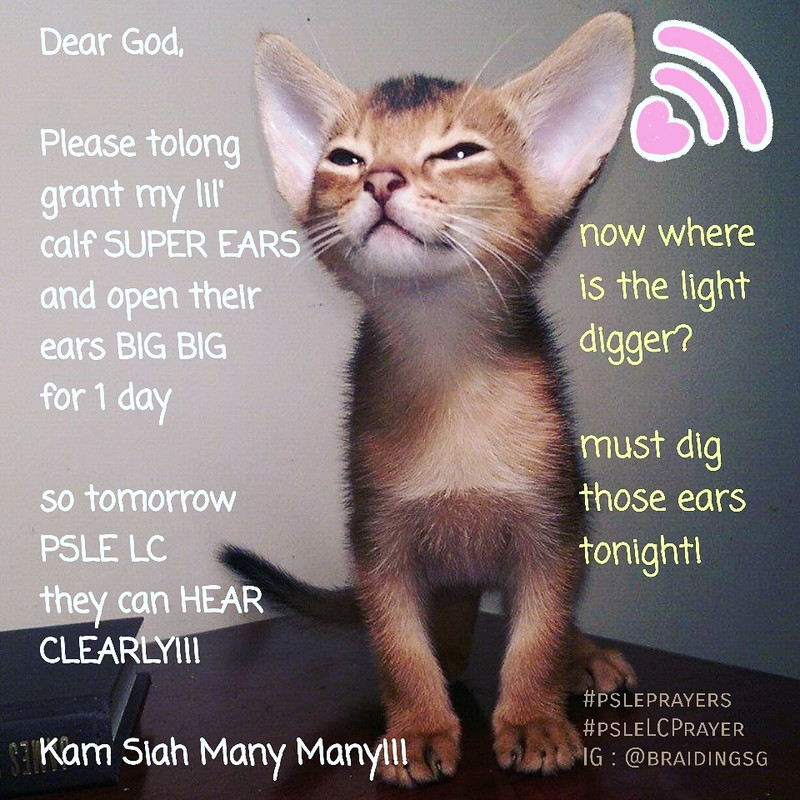 WhatsApp Image 2021-09-16 at 7.02.35 PM