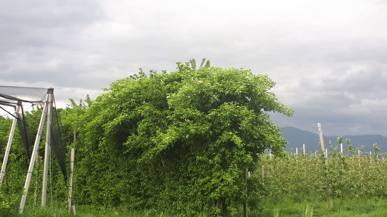 20190425_171826