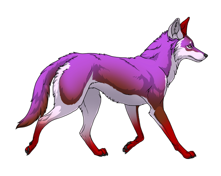 Swiftpaw (10/14/25 - Wild Find)