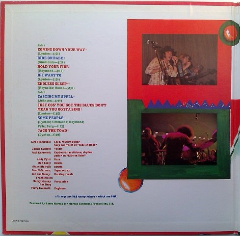 Savoy Brown - Jack The Toad (1973) [Vinyl Rip 24/192] Lossless