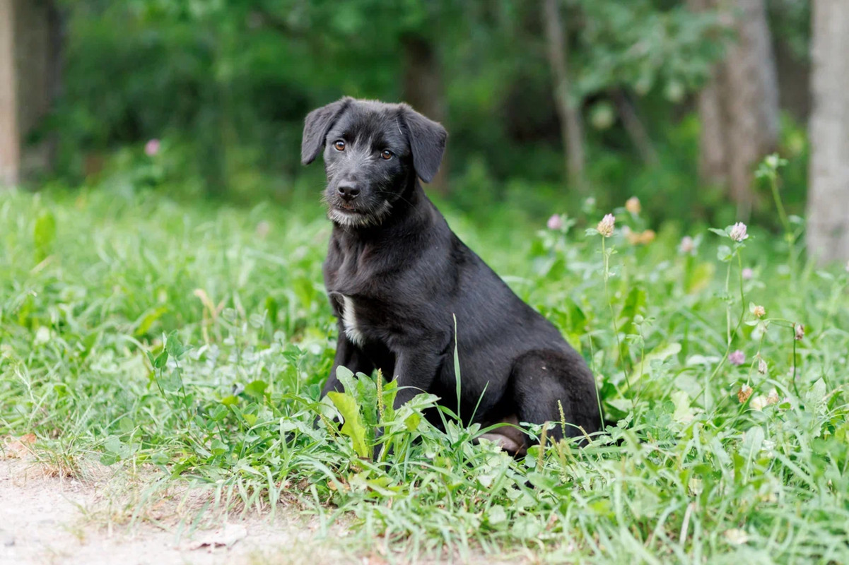 resize-image-online.com_11jpg_E5HVRYAe