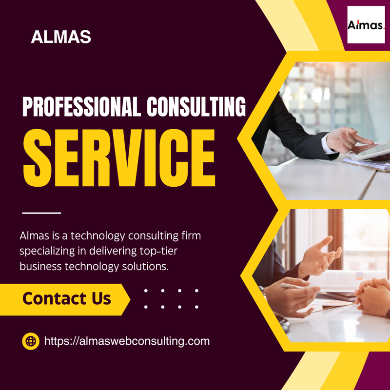 professional consulting services (1)