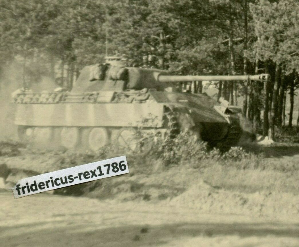 Foto 4 Panzer V Panther 19. Pz Div. Warka-Brückenkopf 1944 camo HKL fahrt