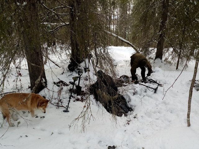 А в лесу сейчас хорошо! - Страница 5 IMG-20210507-200548