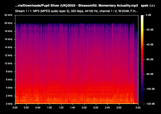 02 Momentary Actuality mp3