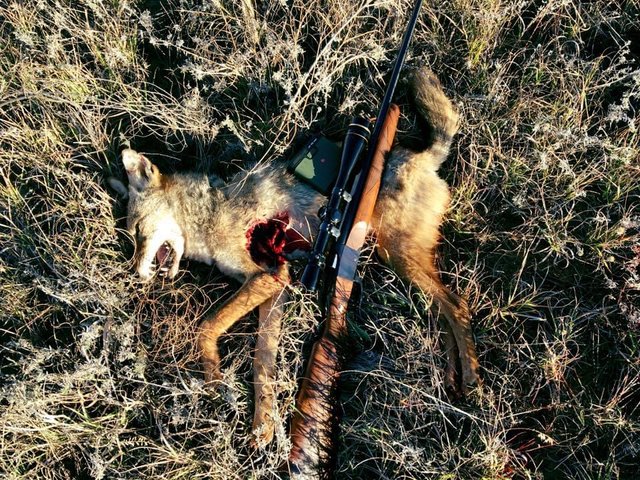 798AA24A-3196-485E-BFE0-58ED45BCA57F