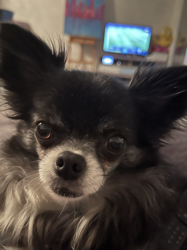 [Image: IMG-2868.jpg]