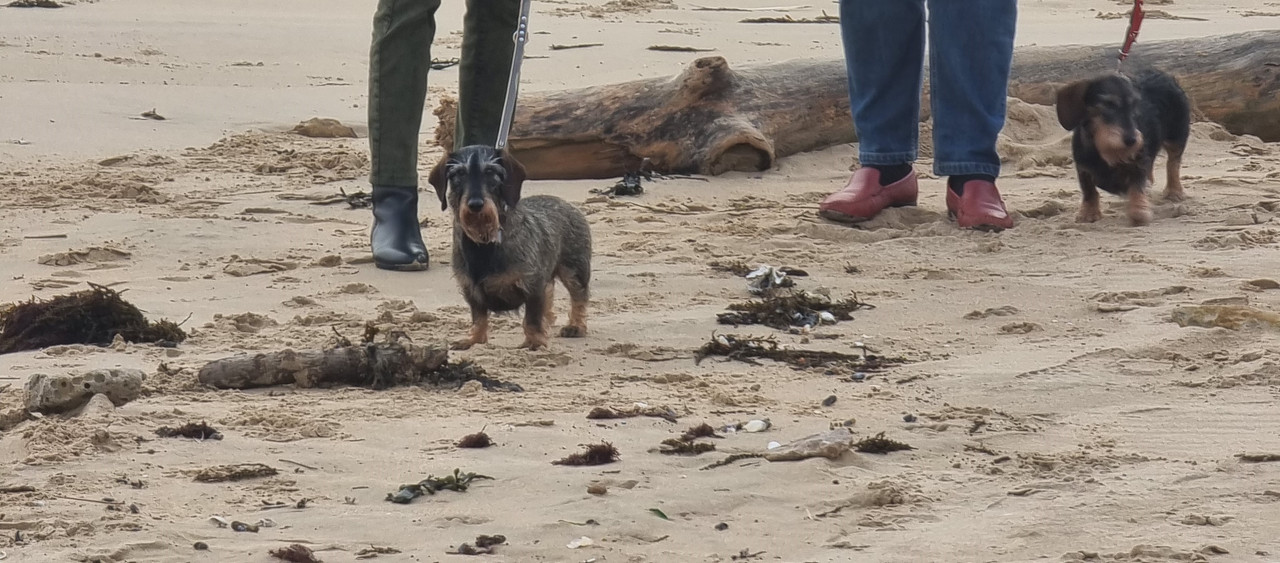 [Image: Plage-2024.jpg]