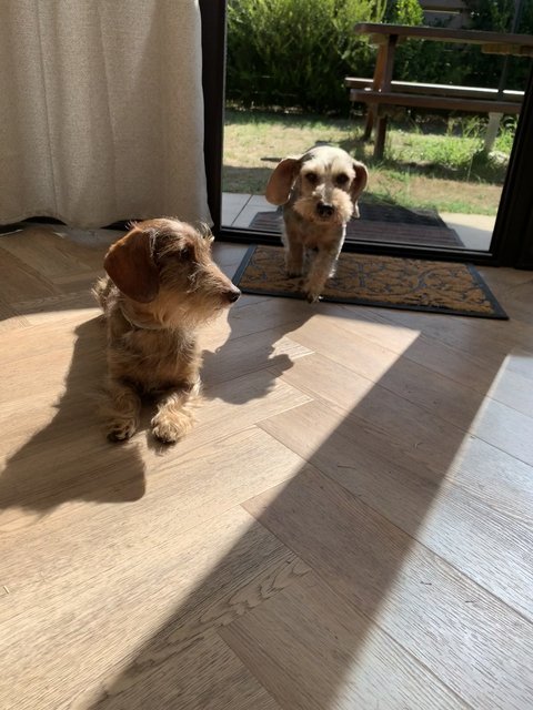 [Image: IMG-6805.jpg]