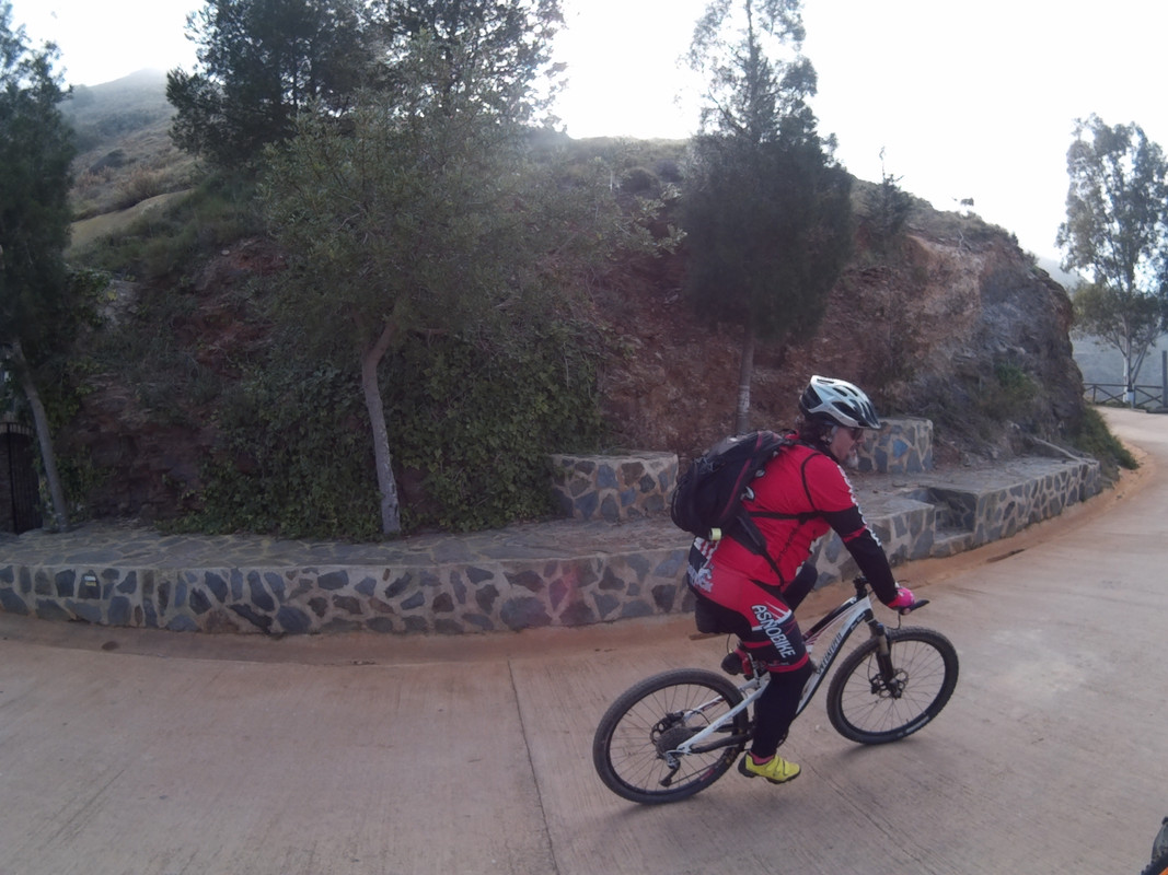 ASNOVESTRE ASNO MAVASA (14)