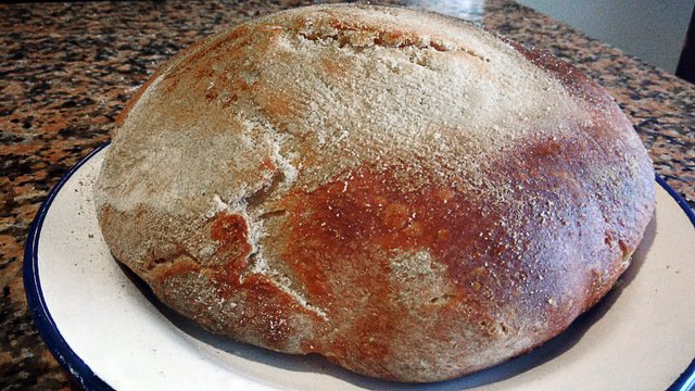 P_20201112_085848 (Grande)