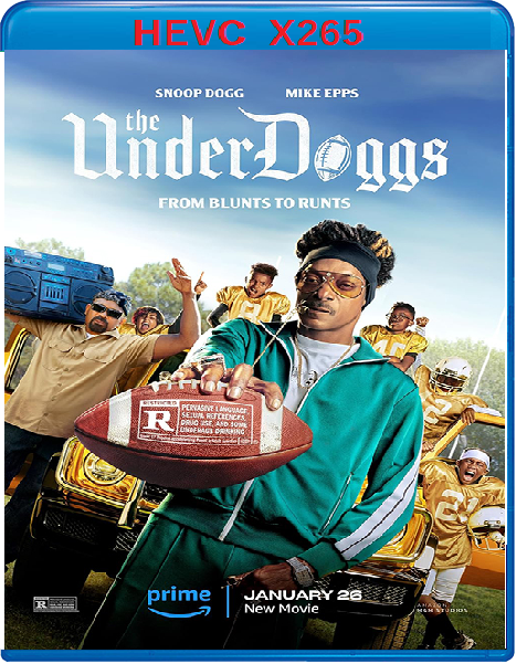 The Underdoggs (2024) mkv FullHD 1080p HEVC AC3 ITA ENG Sub