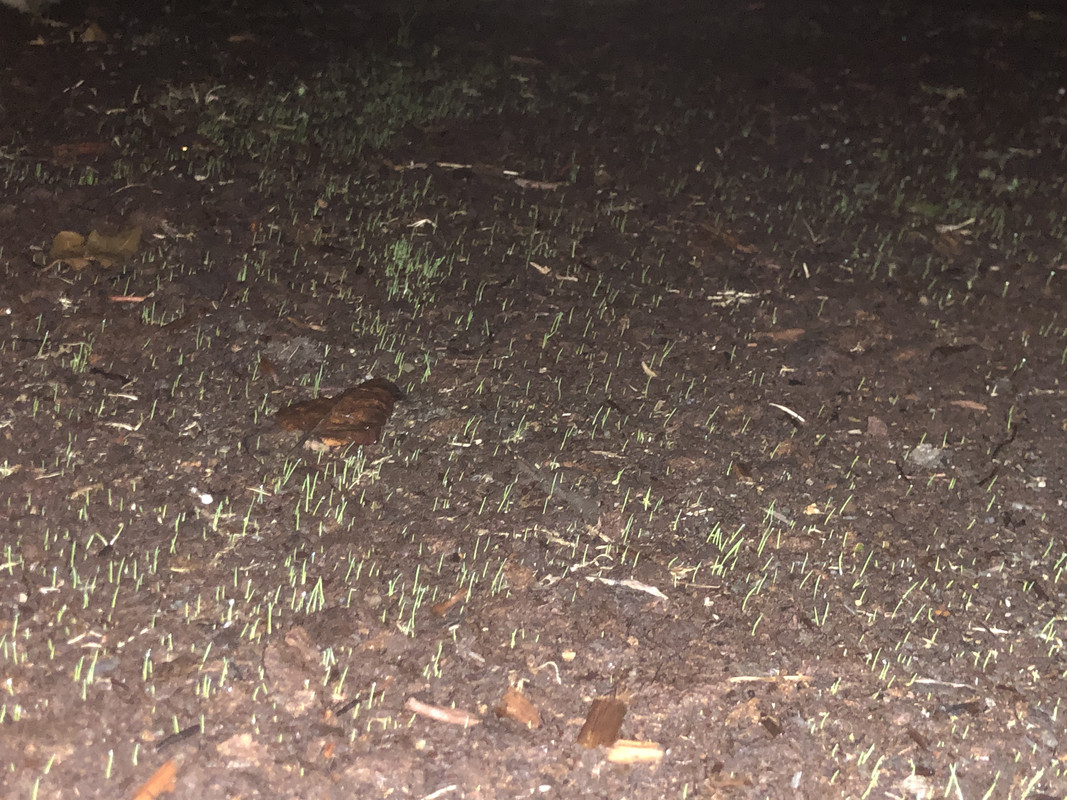 CB5D4A35-897E-4BE1-B3B9-088B778D7943