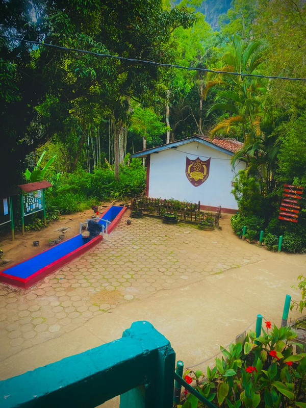 School