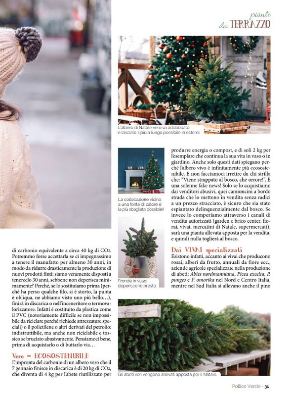 Pol Ver Nov-Dic 2022 (4)