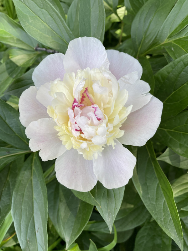 FC9B4D30-8B5A-44FF-81D2-4F6B52D4A4F5