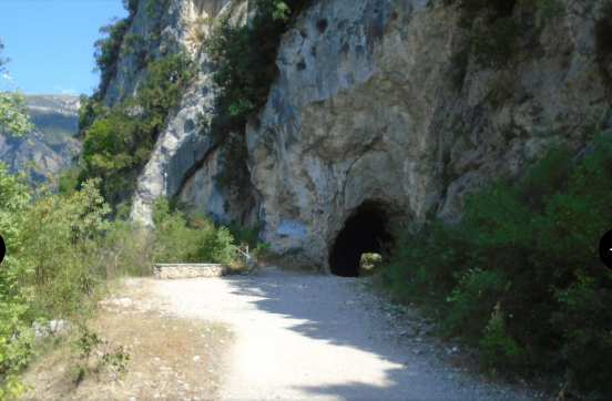 Slika