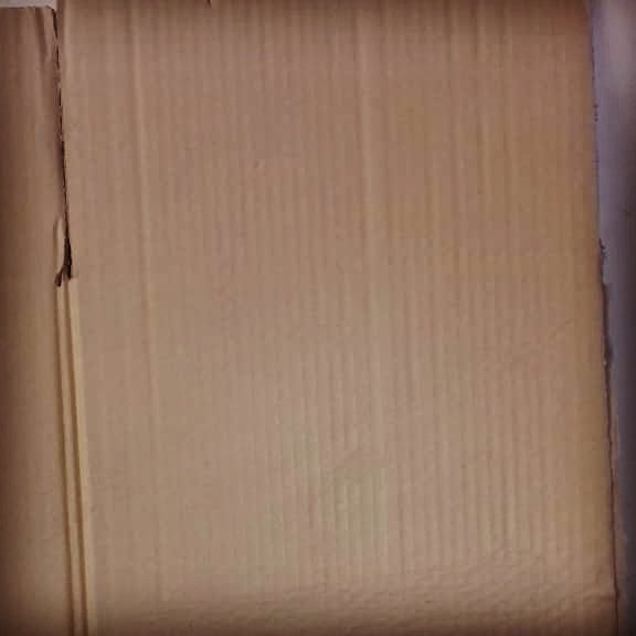 carton-mohammad (128)