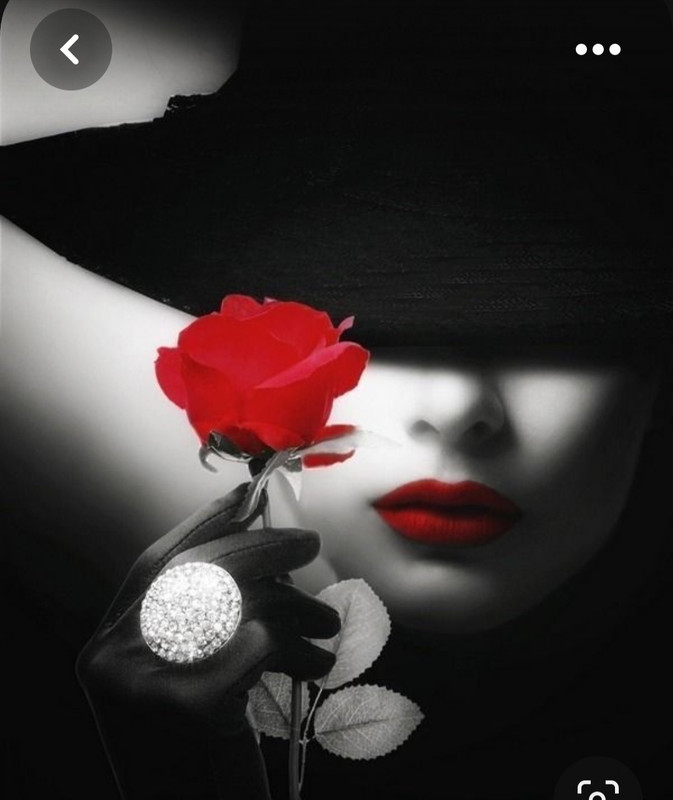 Screenshot_20230731_215502_Pinterest