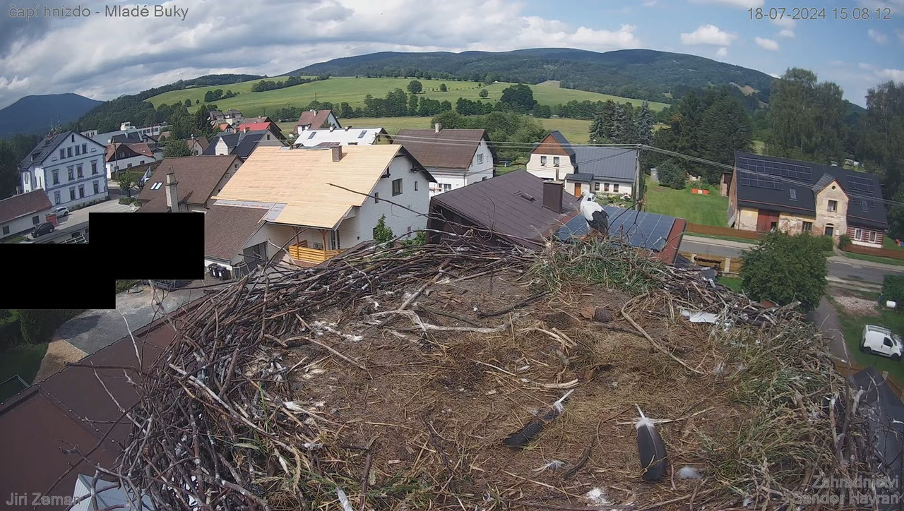 Tiešraides kamera — Mladé Buky — stārķa ligzda 15-4-11 screenshot