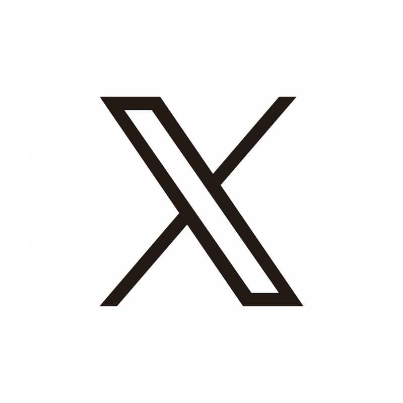 X (Twitter) Icon