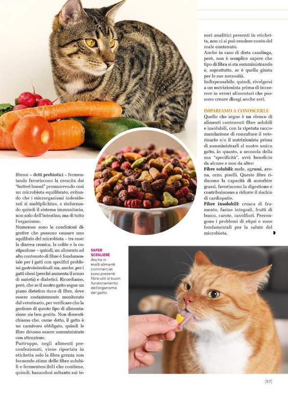 Ga Ma Giu-Lug 2025 (12)