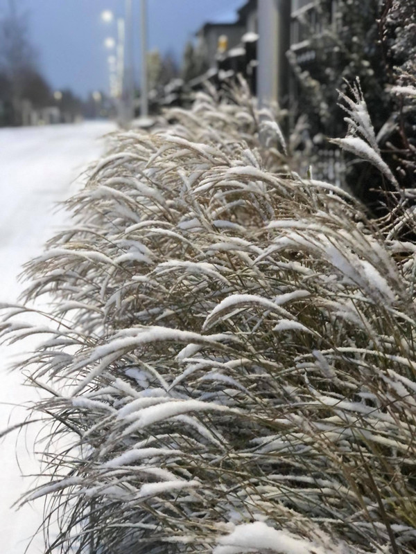 130731171_146962813485195_417131389450396897_n