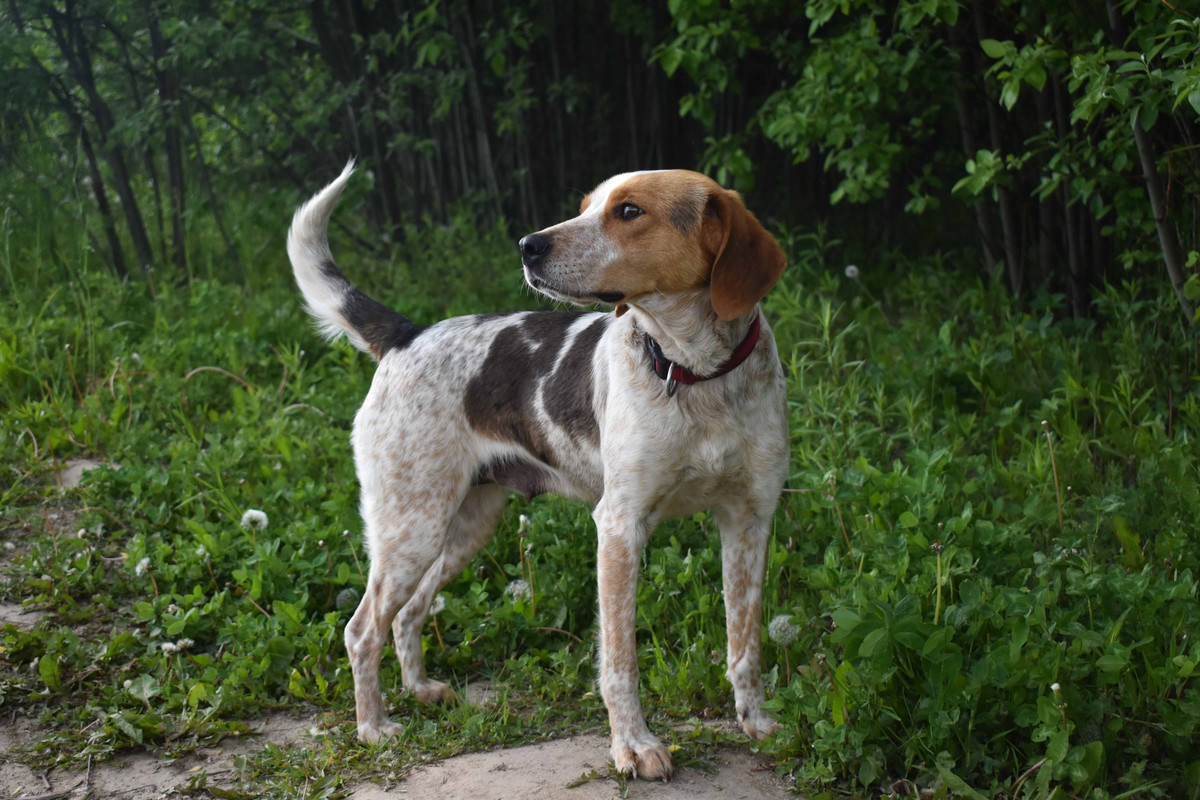 юта красотка