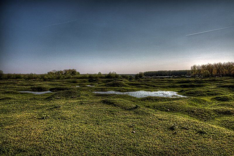 belegish-009x800.jpg