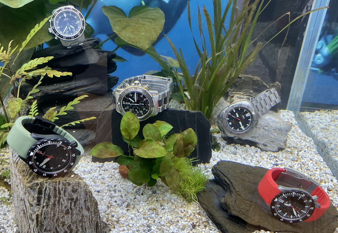 E3480A37-1C59-4ADE-A408-1A580FD9616E